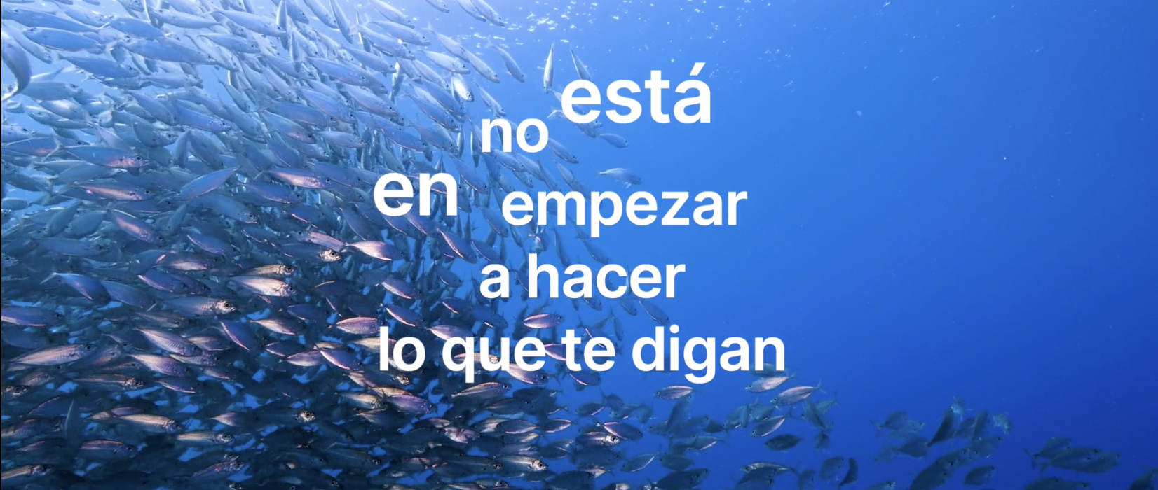Book trailer Sí a casi todo Book trailer Sí a casi todo